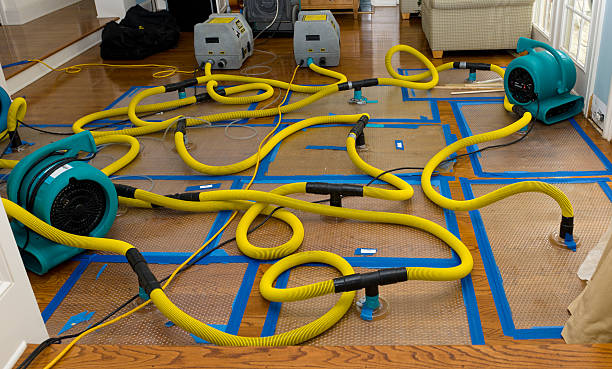 Professional Crawl Space Water Removal technician working in Earle, AR